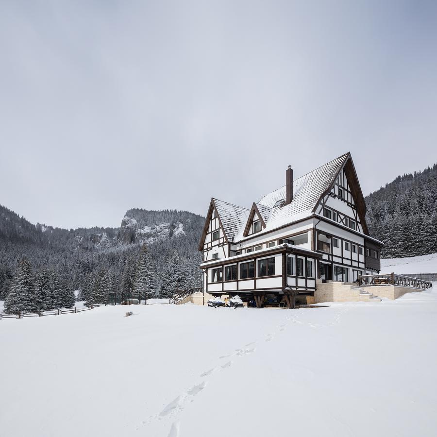 Chalet Alpina Moroeni Exteriér fotografie